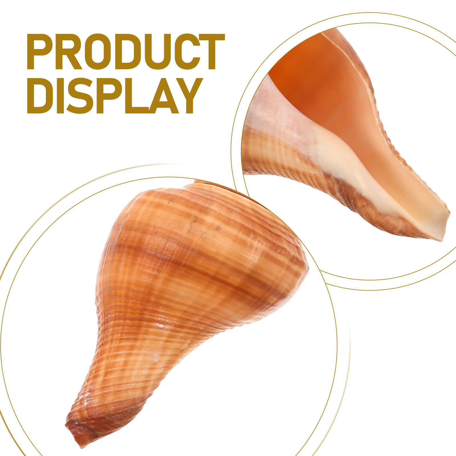 5Pcs Natural Conch Shell Whist - Emergency Whistle Loud ulasan dan harga